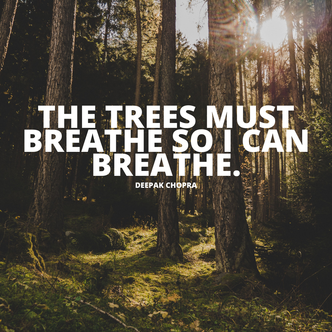 The trees must breathe so I can breathe trees sayings