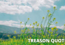 Treason quotes featured.png