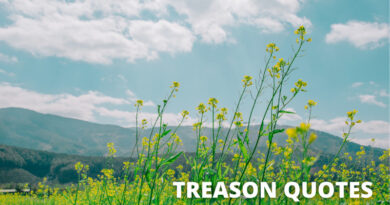 Treason quotes featured.png