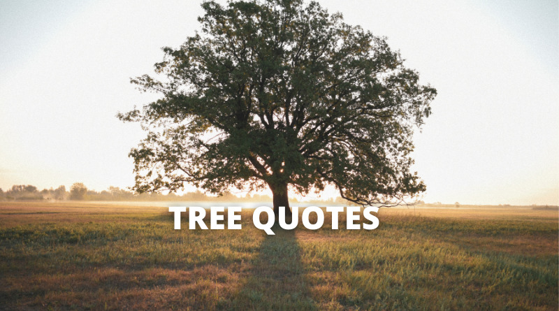 Tree Quotes featured.png