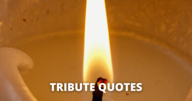 Tribute Quotes featured.png