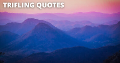 Trifle Quotes featured