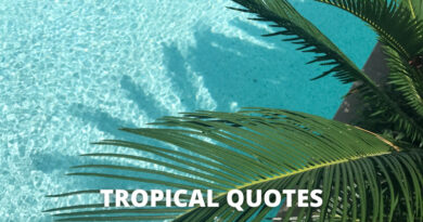 Tropical Quotes featured.png