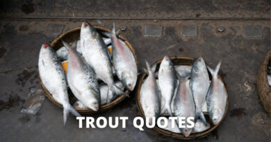 Trout Quotes featured.png