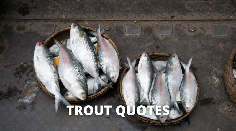 Trout Quotes featured.png