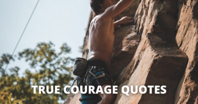True courage Quotes featured.png