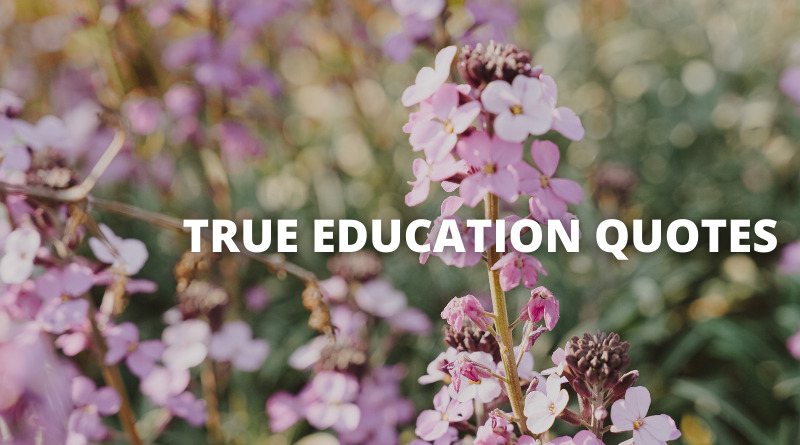 58 True Education Quotes On Success In Life