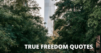 True freedom Quotes quotes