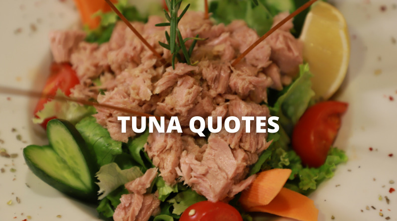 Tuna Quotes Featured