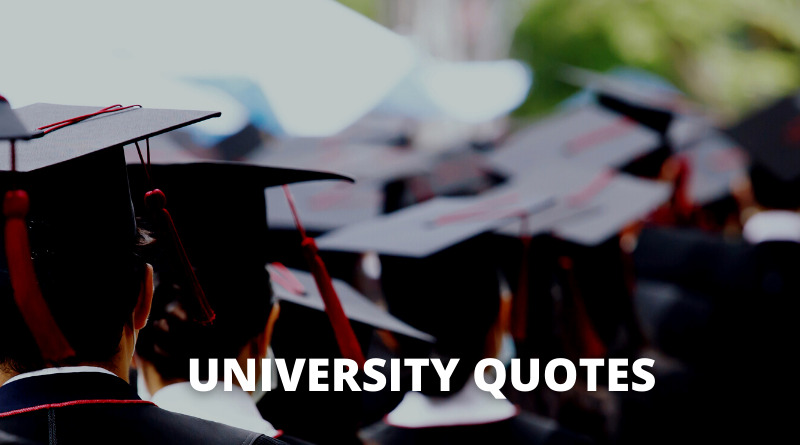 University Quotes featured