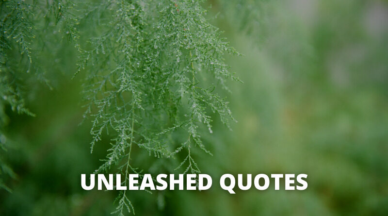 Unleash quotes featured