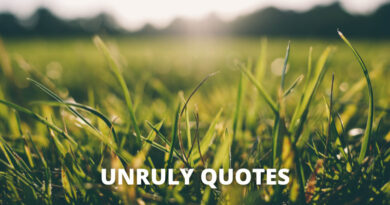 Unruly Quotes featured
