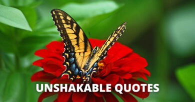 Unshakable Quotes featured
