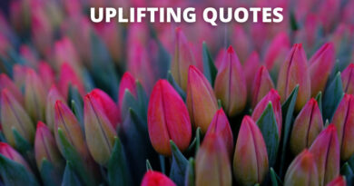Uplifting Quotes featured