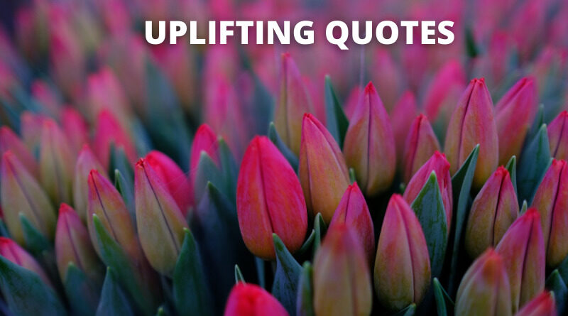 Uplifting Quotes featured