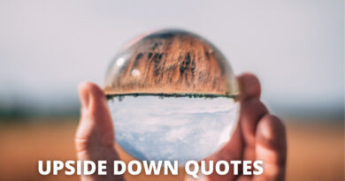 Upside Down Quotes featured