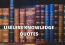 Useless Knowledge Quotes featured