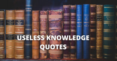 Useless Knowledge Quotes featured