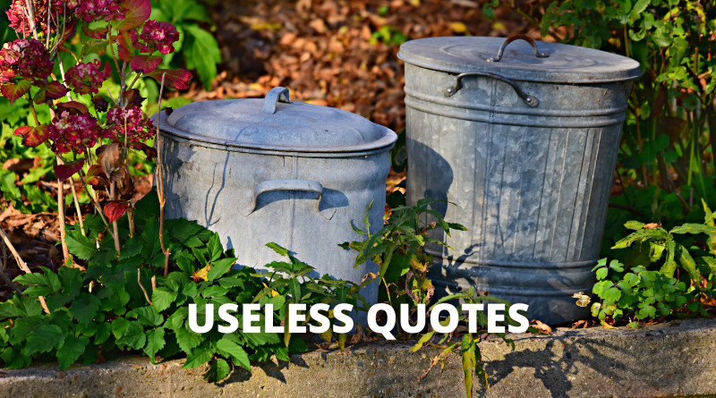 Useless quotes featured