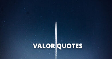 Valor quotes featured