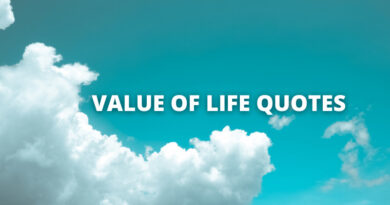 Value Of Life quotes featured