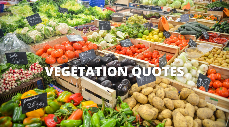 Vegetation Quotes Featured