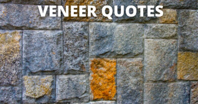 Veneer Quotes Featured