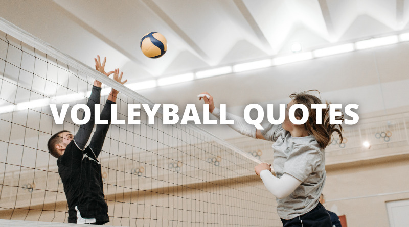 Volleyball Quotes featured