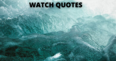 WATCH QUOTES FEATURE