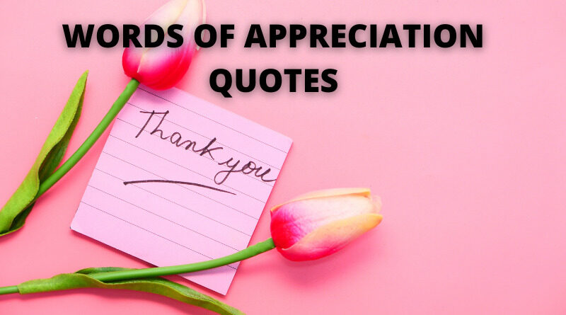 Quotes appreciation Appreciation Quotes