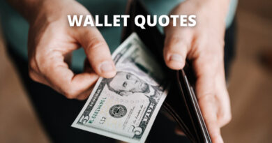 Wallet Quotes Featured