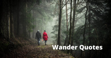 Wander Quotes Featured