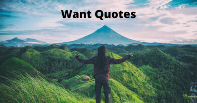 Want Quotes Featured.
