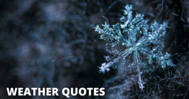 Weather Quotes Featured