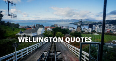 Wellington Quotes featured