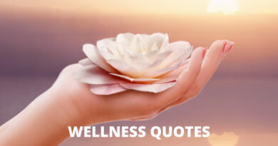 Wellness Quotes Featured