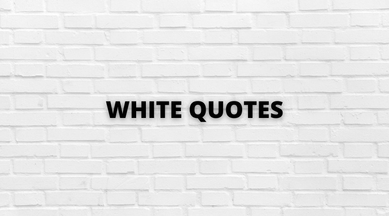 White Quotes featured1