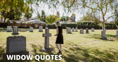 Widow Quotes Featured