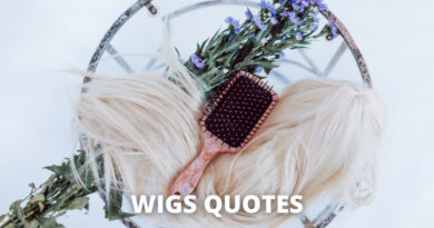 Wig Quotes Featured