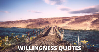 Willingness Quotes Featured