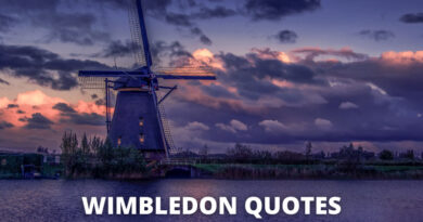 Wimbledon Quotes Featured