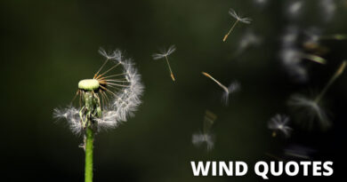 Wind Quotes Featured