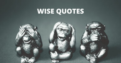 Wise Quotes Featured