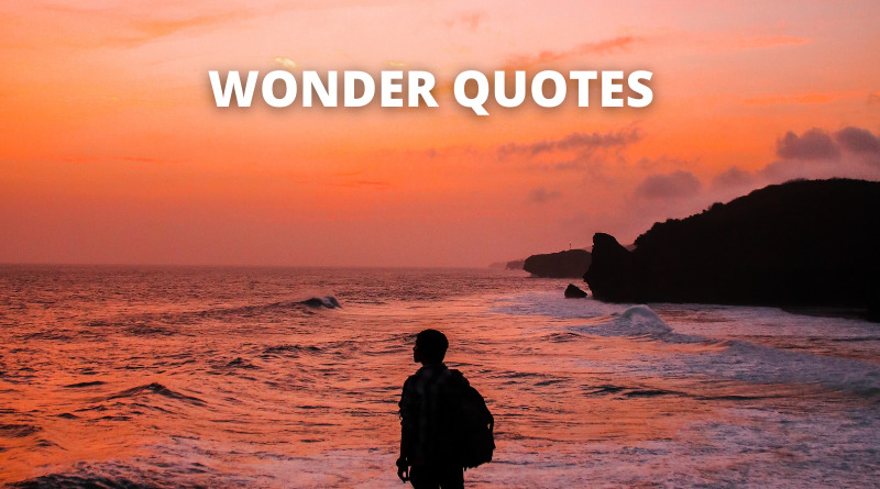 Wonder Quotes Featured
