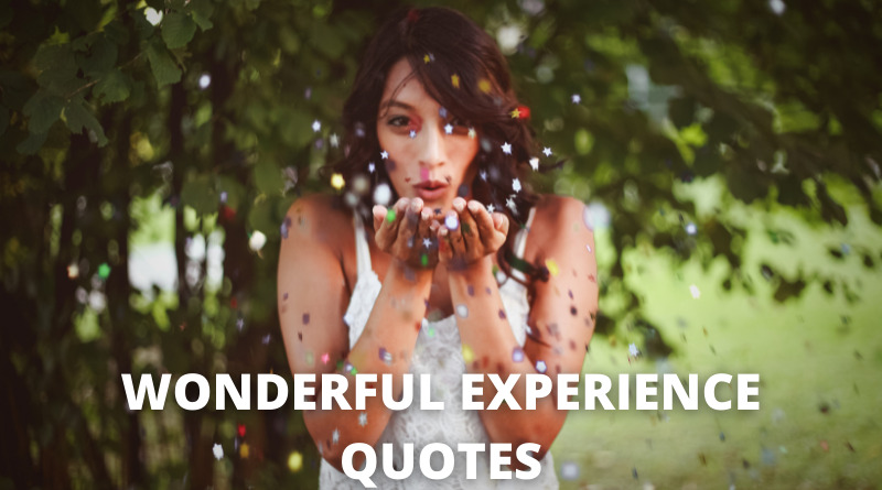 Wonderful Experience Quotes Featured