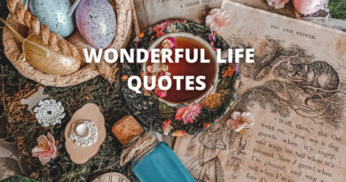 Wonderful Life Quotes Featured