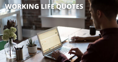 Working Life Quotes Featured