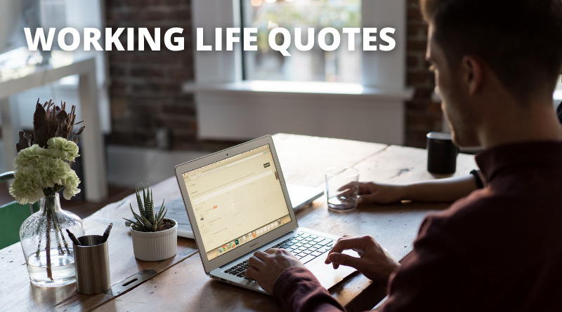 Working Life Quotes Featured