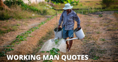 Working Man Quotes Featured