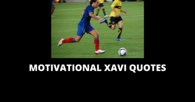 Xavi Quotes